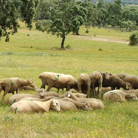 Dehesa De Solana Casa rural