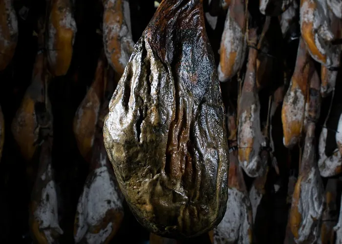 Dehesa De Solana Herrera de Alcántara