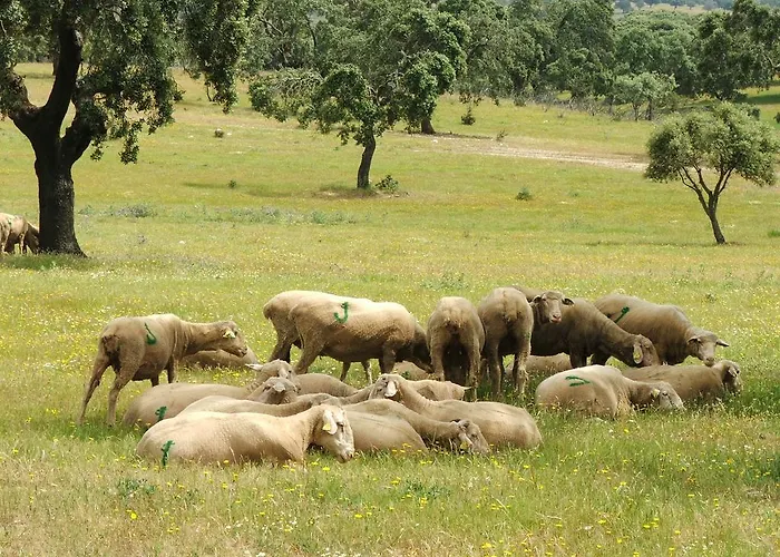 Dehesa De Solana Venkovský dům