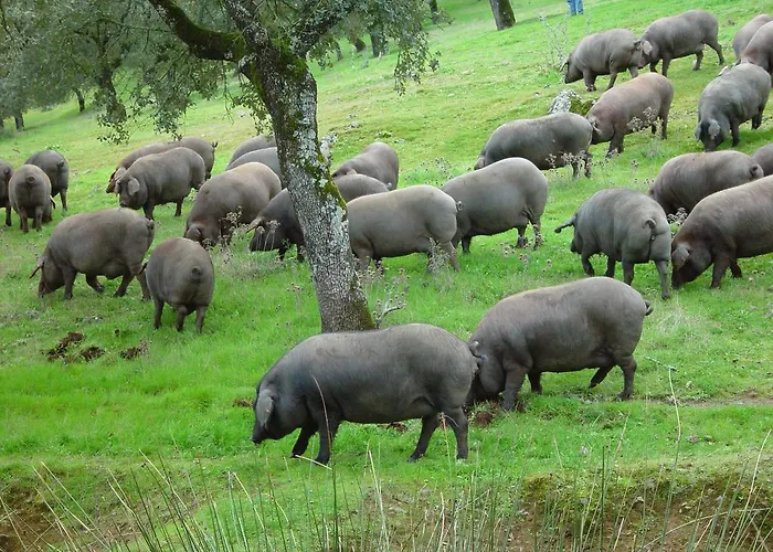 Dehesa De Solana Venkovský dům *